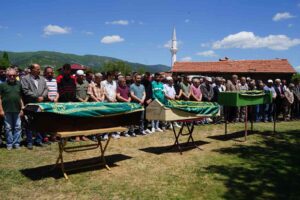 BOLU’NUN GEREDE İLÇESİNDE DİNLENME TESİSİNE GİRDİĞİ SIRADA PARK HALİNDEKİ İKİ