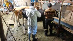 KARABÜK’TE BAHARIN GELMESİ VE HAVALARIN ISINMASIYLA GÖRÜLMEYE BAŞLAYAN KENE VAKALARINA