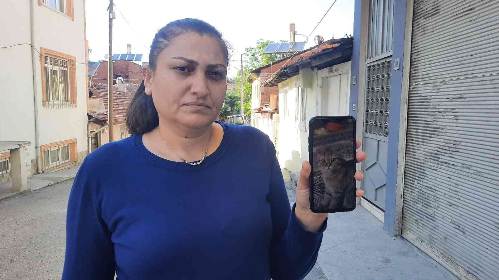 KASTAMONU'DA KEDİSİ EVDEN KAÇAN BİR VATANDAŞ, KEDİSİNİN BULUP GETİREN KİŞİYE