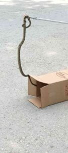 KARABÜK'ÜN SAFRANBOLU İLÇESİNDE BAHÇE DUVARINDAKİ BOŞLUĞA GİREN 1,5 METRE UZUNLUĞUNDA