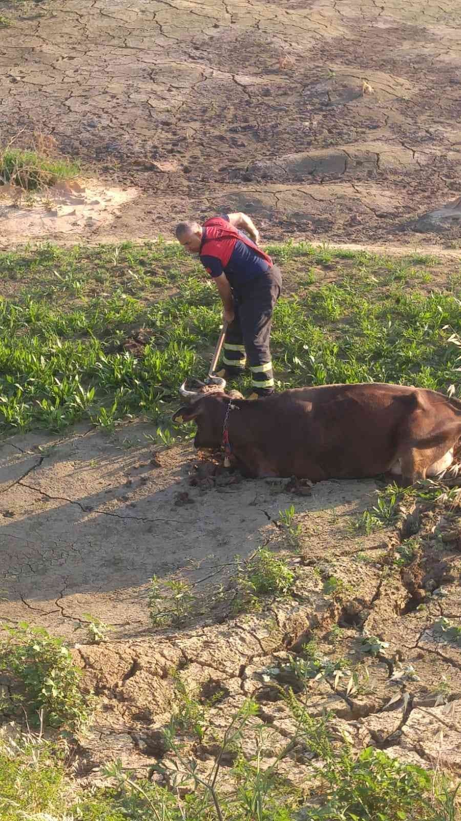 ZONGULDAK’IN ÇAYCUMA İLÇESİNİN KARAMUSA MAHALLESİ TOKİ KONUTLARI MEVKİİNDE IRMAĞIN İÇERİSİNDEKİ