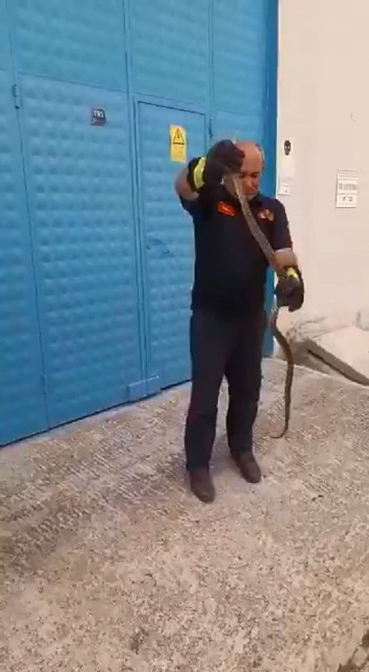 KASTAMONU’NUN TOSYA İLÇESİNDE BİR DEPOYA GİREN YILAN, İTFAİYE EKİPLERİ TARAFINDAN
