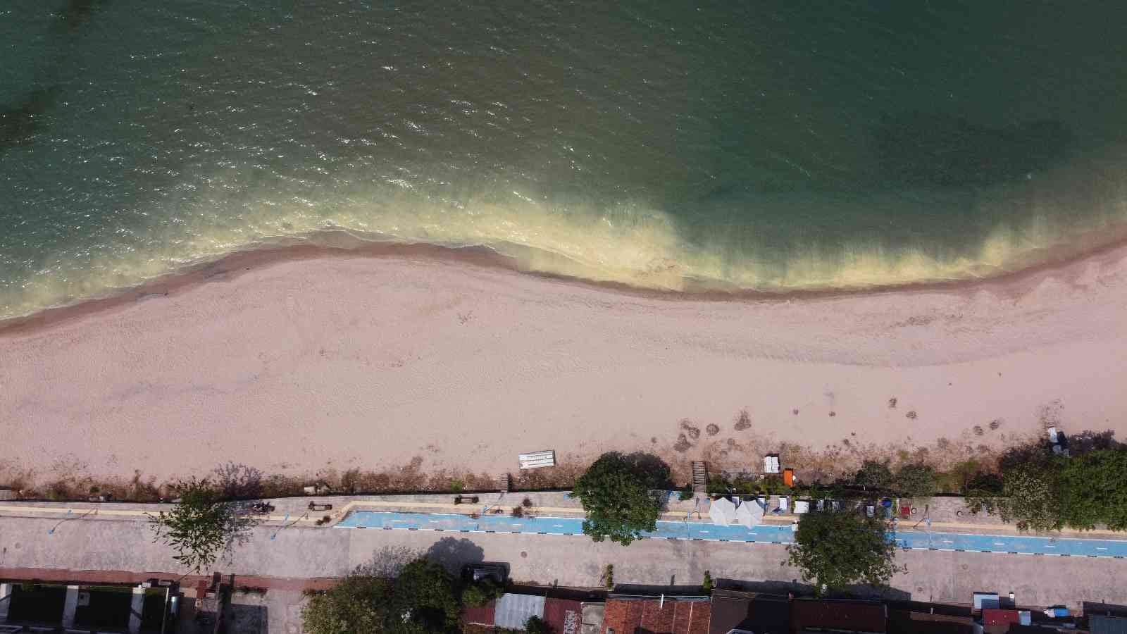 BARTIN’IN AMASRA İLÇESİNE BAĞLI ÇAKRAZ TATİL BELDESİNDE DENİZ KIYISINDA GÖRÜLEN