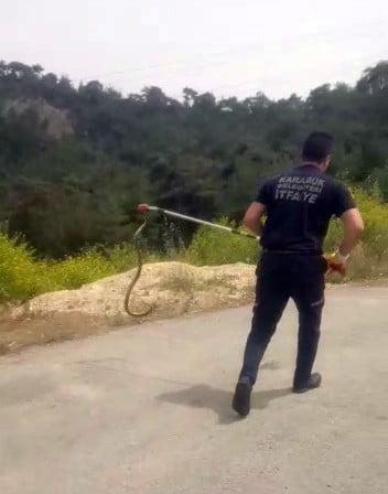 KARABÜK’TE TAVUK KÜMESİNDEKİ 1.5 METRE UZUNLUĞUNDAKİ YILAN, İTFAİYE EKİBİ TARAFINDAN
