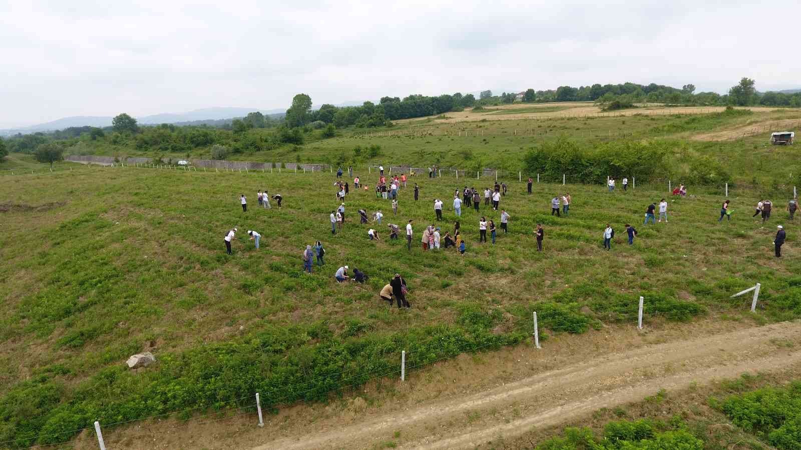 ZONGULDAK'TA ÇEVRE HAFTASI ETKİNLİKLERİ KAPSAMINDA MİNİKLER FİDAN DİKEREK ÇEVRENİN ÖNEMİNE