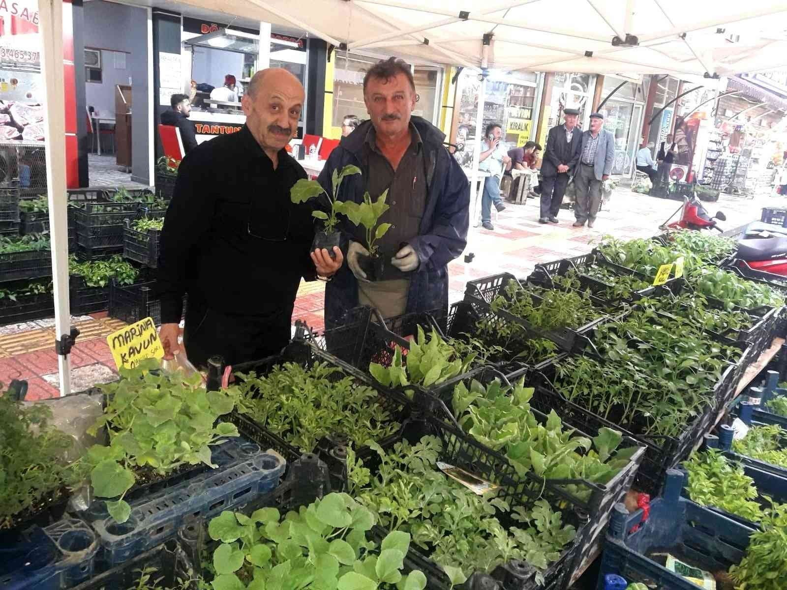 KASTAMONU’DA ÇOK SAYIDA FİDE ALAN VATANDAŞLAR BALKONLARINI SEBZE-MEYVE BAHÇESİNE DÖNDÜRDÜ.