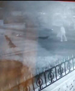 ZONGULDAK’TA İŞYERİNDEN EVİNE GİTTİĞİ SIRADA SOKAK KÖPEKLERİNİN SALDIRISINA UĞRAYAN 29