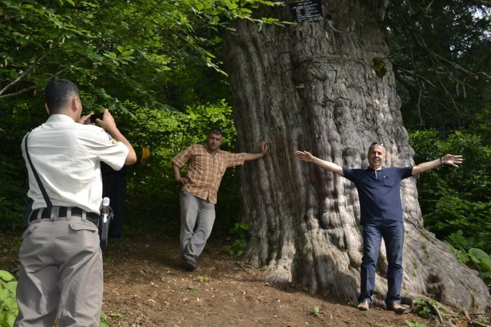 ÇEVRE VE ŞEHİRCİLİK BAKANLIĞINCA ZONGULDAK’IN ALAPLI İLÇESİ SINIRLARI İÇERİSİNDE TESPİT