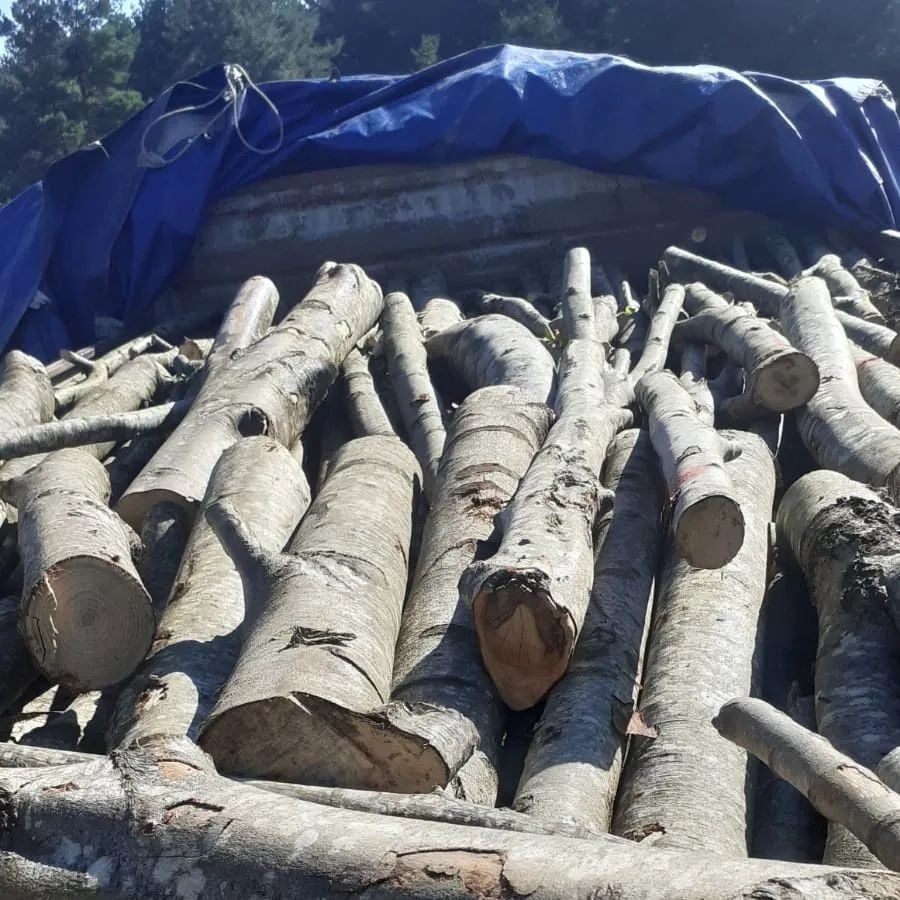 Bi̇r Kamyon Dolusu Kaçak Odun Ele Geçi̇ri̇ldi̇ KASTAMONU’NUN DEVREKANİ İLÇESİNDE JANDARMA EKİPLERİNCE YAPILAN ÇALIŞMADA BİR KAMYON DOLUSU