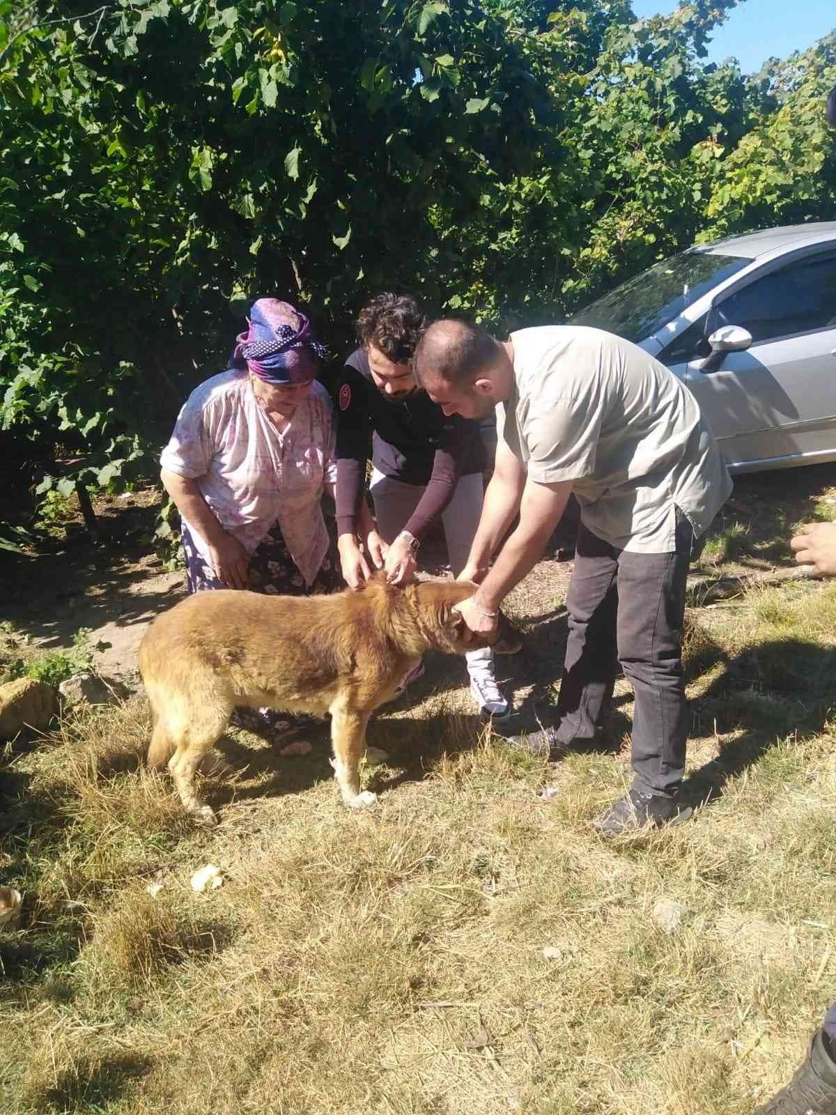 – KASTAMONU’NUN İNEBOLU İLÇESİNDE KAYMAKAMLIK TARAFINDAN BAŞLATILAN ÇALIŞMA ÇERÇEVESİNDE İLÇEDE