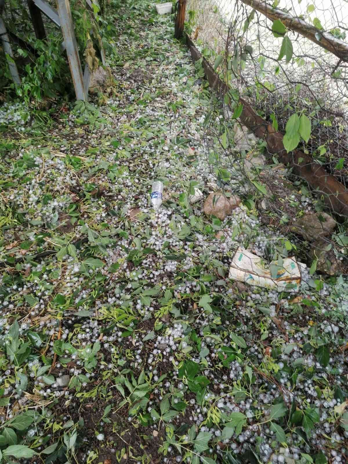 KASTAMONU’NUN MERKEZ KUZYAKA VE TERZİ KÖYLERİNDE ETKİLİ OLAN DOLU YAĞIŞI