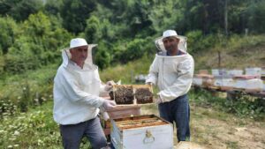 DÜNYA DOĞAYI KORUMA VAKFI (WWF) TARAFINDAN ACİL OLARAK KORUNMASI GEREKEN