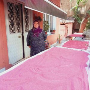 KASTAMONU’NUN İNEBOLU İLÇESİNDE HER KÖŞESİNDE YOLLARDA YAZ DÖNEMİNDE TARHANA BAŞINDA