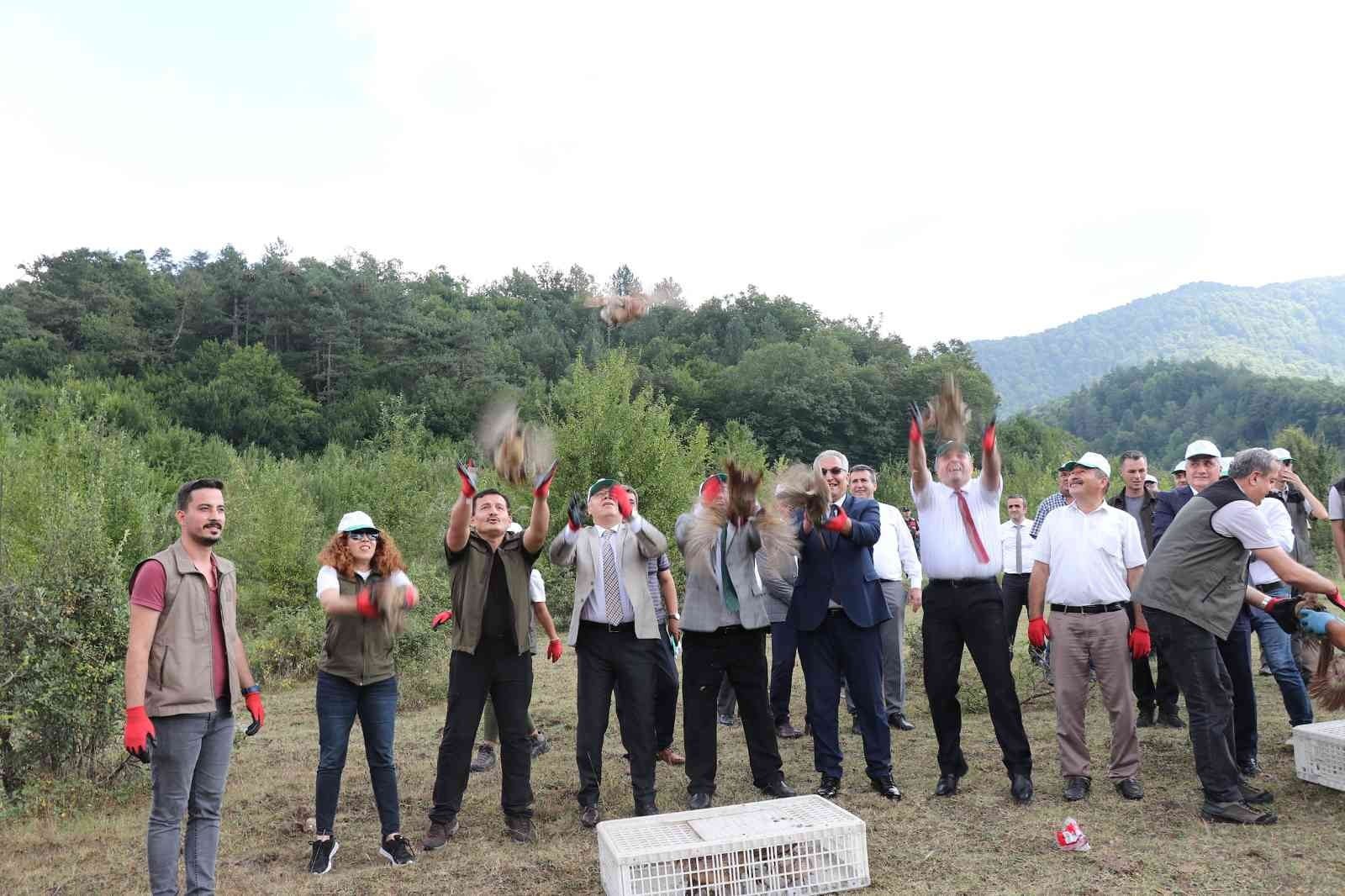 ZONGULDAK’IN EREĞLİ İLÇESİNDE KENE POPÜLASYONUNU AZALTMAK İÇİN YAKLAŞIK 1000 ADET