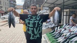 ZONGULDAK’TA DENİZLERDE YAŞANAN PALAMUT BOLLUĞU FİYATLARI YANSIDI. TEZGAHLARDA PALAMUT TANESİ