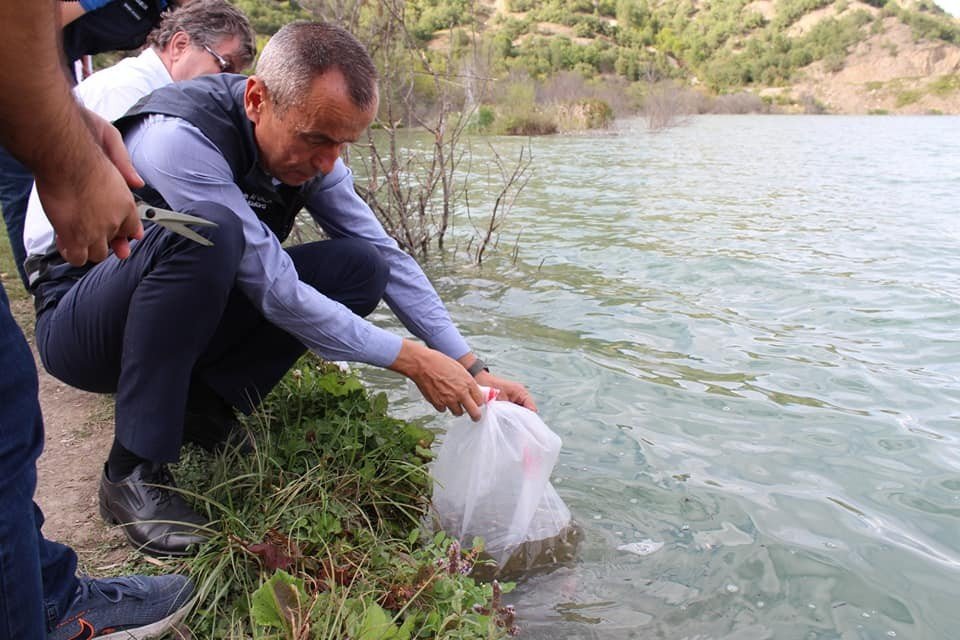 KARABÜK’TE "SU KAYNAKLARININ BALIKLANDIRILMASI PROJESİ" ÇERÇEVESİNDE 20 BİN YAVRU SAZAN