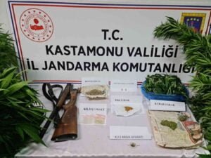 KASTAMONU'DA BİR EVDE VE SERADA YAPILAN ARAMALARDA FARKLI MİKTARLARDA ESRAR,