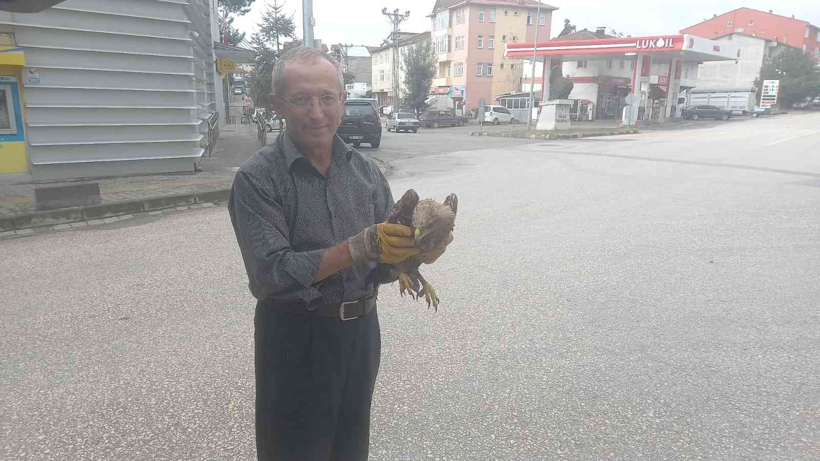 KARABÜK’ÜN EFLANİ İLÇESİNDE YARALI HALDE BULUNAN ŞAHİN TEDAVİ EDİLMESİ İÇİN