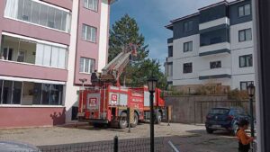 KARABÜK’ÜN SAFRANBOLU İLÇESİNDE AĞAÇTA MAHSUR KALAN KEDİ İTFAİYE EKİPLERİ TARAFINDAN