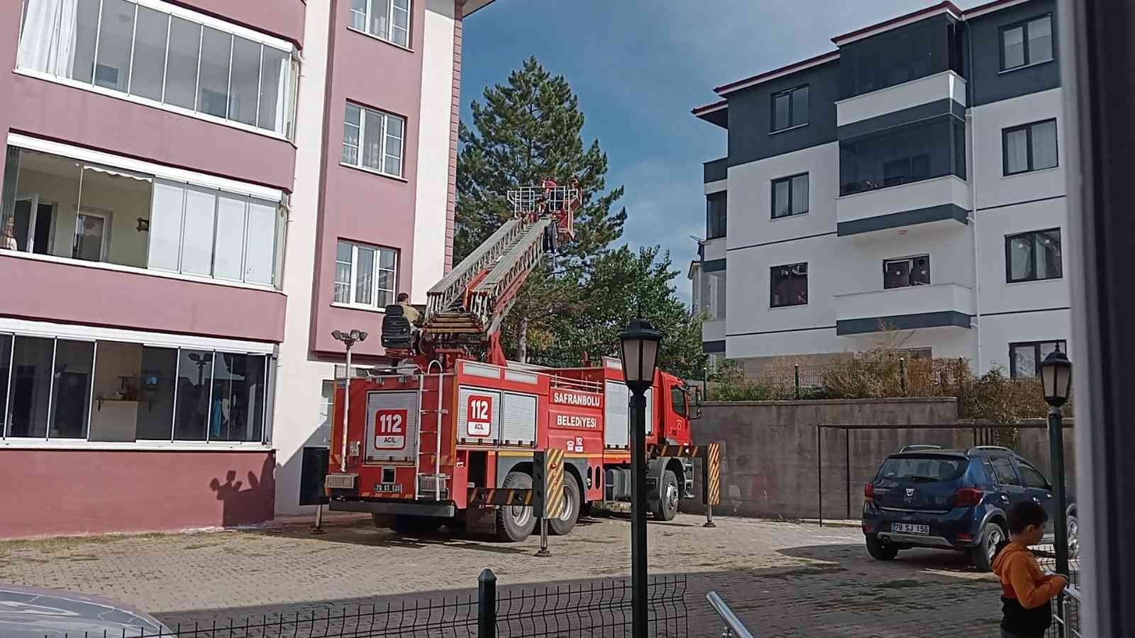KARABÜK’ÜN SAFRANBOLU İLÇESİNDE AĞAÇTA MAHSUR KALAN KEDİ İTFAİYE EKİPLERİ TARAFINDAN