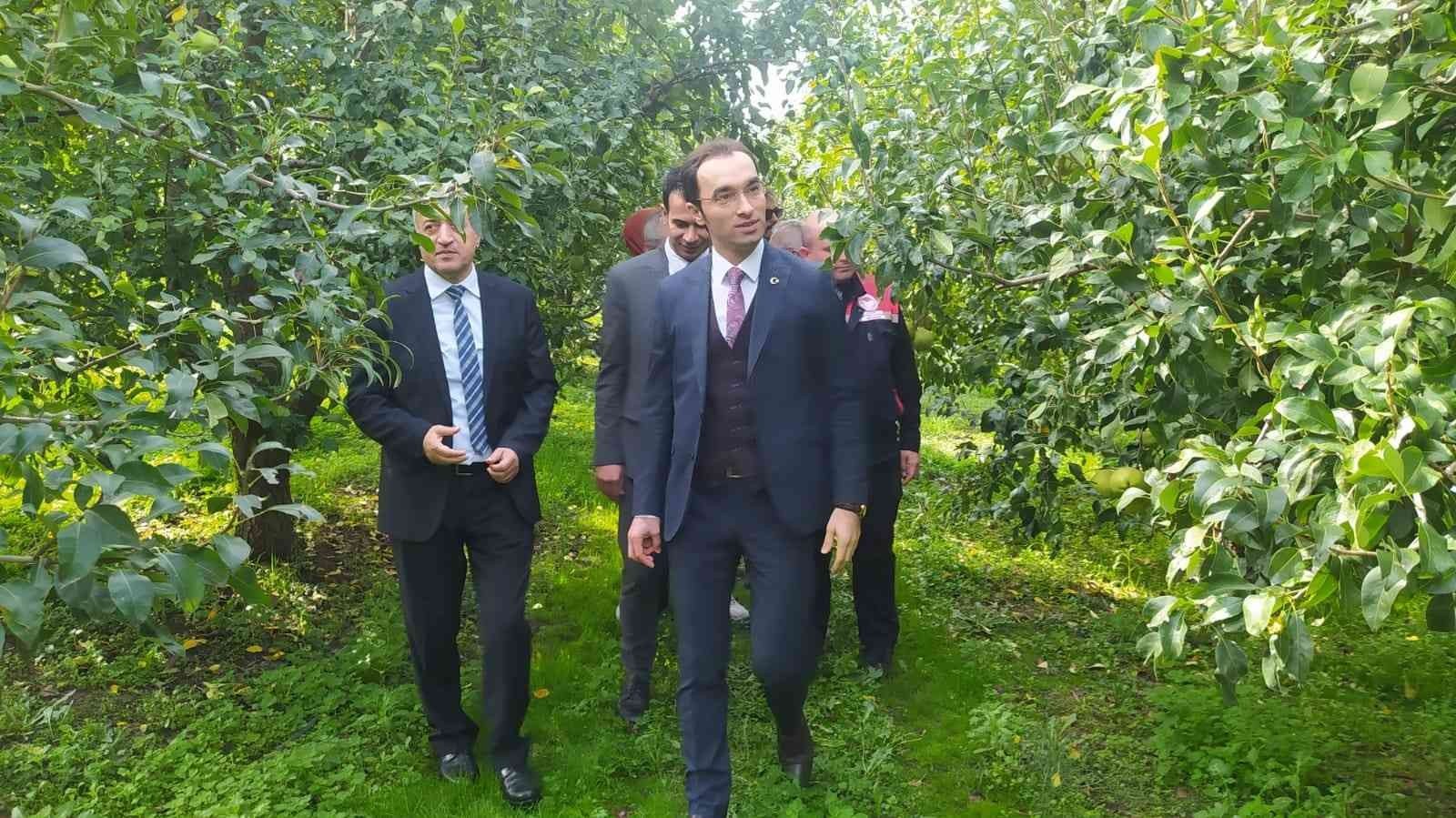 ZONGULDAK’IN ÇAYCUMA İLÇESİ KAYIKÇILAR KÖYÜNDE ‘DEVECİ ARMUDU HASAT ŞENLİĞİ’ GERÇEKLEŞTİRİLDİ.