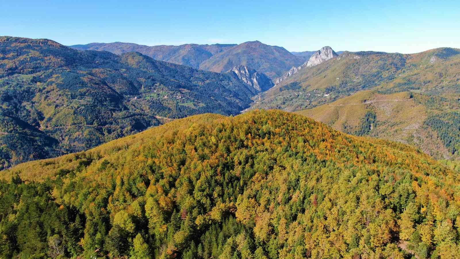 KASTAMONU VE BARTIN SINIRLARINDA BULUNAN KÜRE DAĞLARI SONBAHARDA KAHVERENGİ, KIRMIZI,