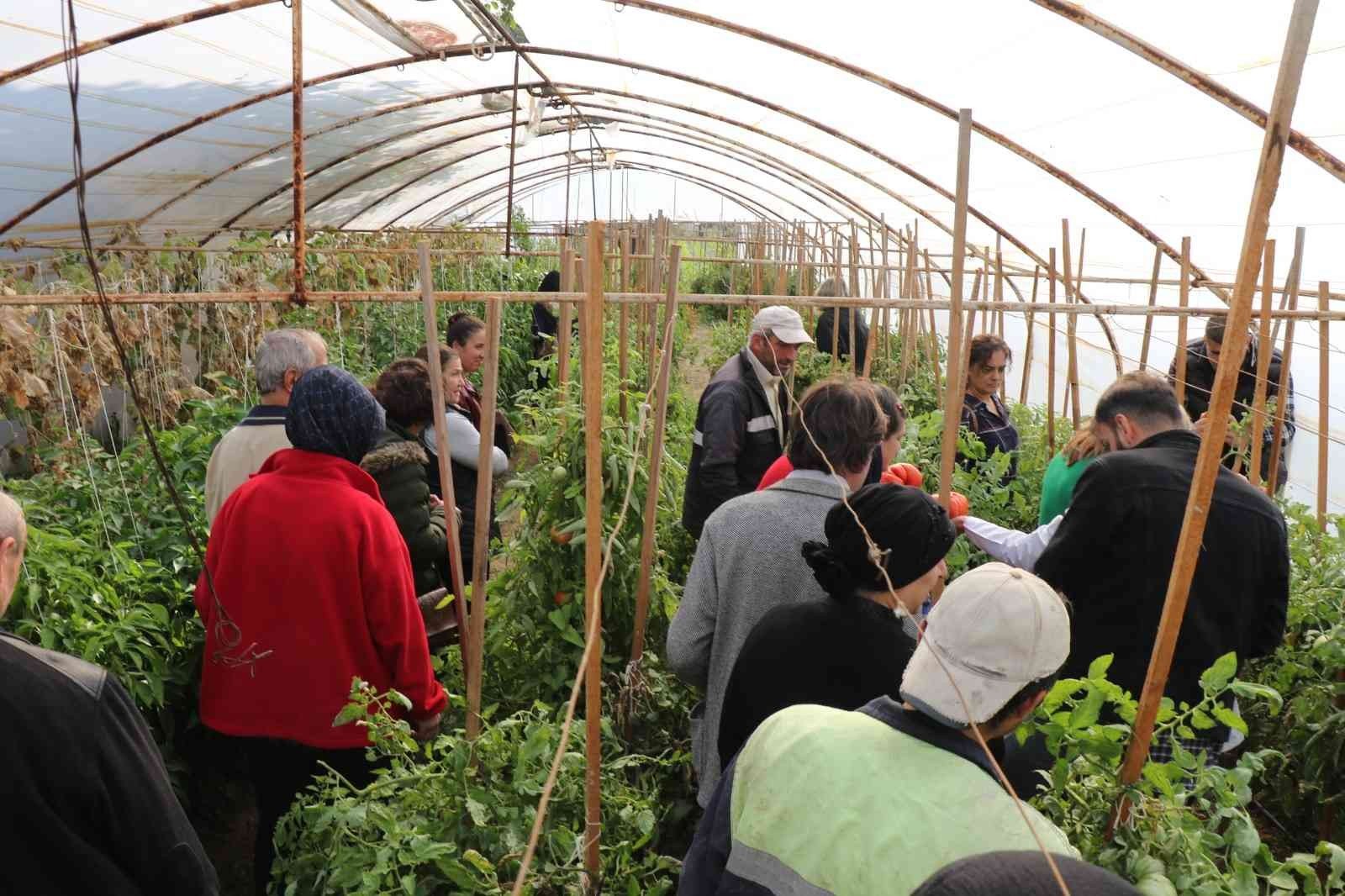 KARABÜK’ÜN SAFRANBOLU İLÇESİNDE ÜRETEN BİR TOPLUM ANLAYIŞIYLA BAŞLATILAN ‘KIŞLIK SEBZE