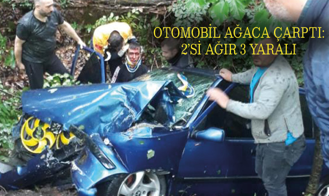 Karabük’te kontrolden çıkan aracın ağaca çarptığı kazada 2’si ağır 3
