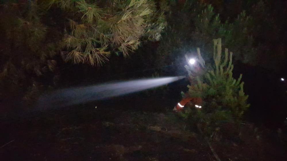 Karabük’te çam ağaçlarının bulunduğu alanda çıkan örtü yangını itfaiye ekiplerince