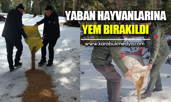 Karabük’ün yüksek kesinlerinde olumsuz hava koşulları nedeniyle beslenmekte zorluk çeken