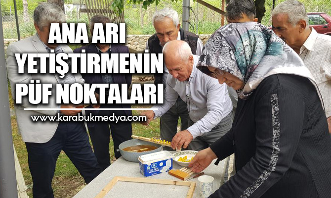 Karabük'te arıcılık yapan 26 üreticiye “Ana Arı Yetiştiriciliği" kursu verildi.