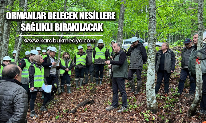 Türkiye’nin en büyük blok ormanlarının bulunduğu Karabük’ün Yenice ilçesinde, ormanların