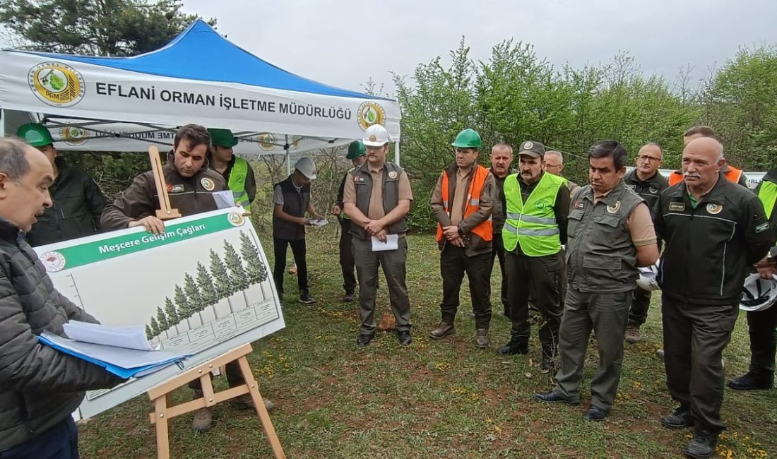 Her yıl düzenli olarak Orman Bölge Müdürlüğüne bağlı Orman İşletme