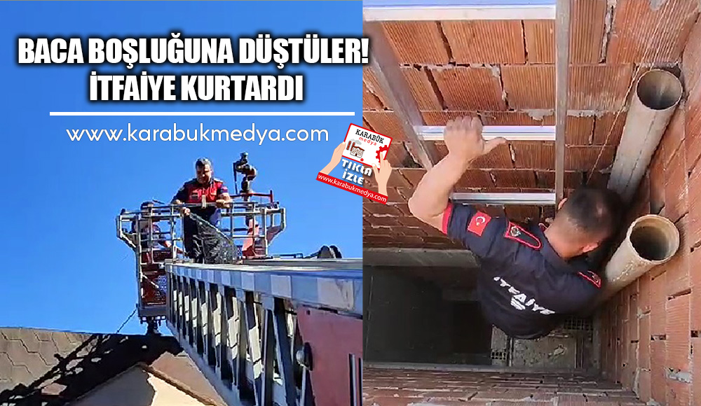 Karabük’ün Safranbolu ilçesinde baca boşluğuna düşen yavru güvercinler kurtarıldı.