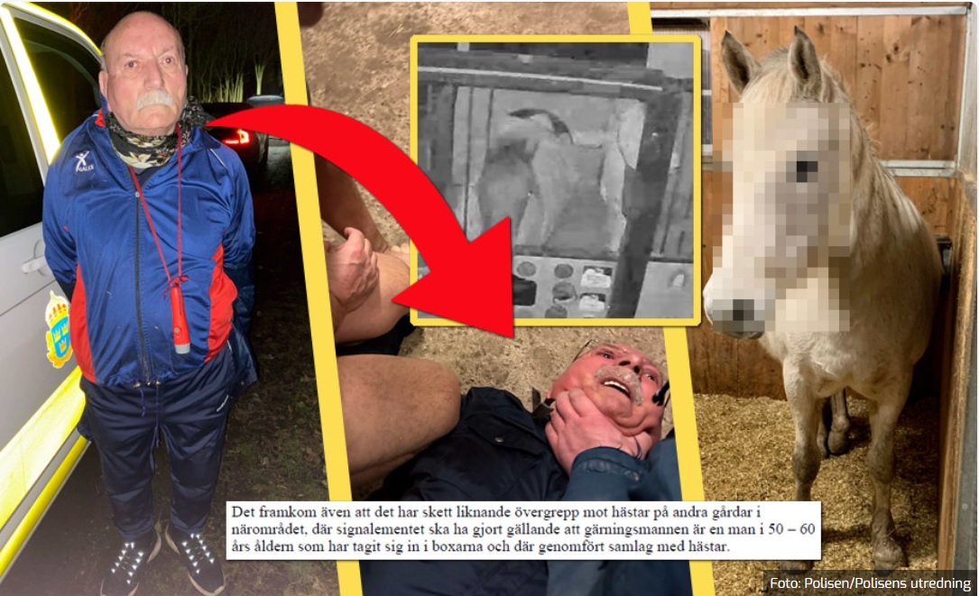 Türkiye tarafından terör suçundan hakkında arama kararı bulunan Senanik Öner,