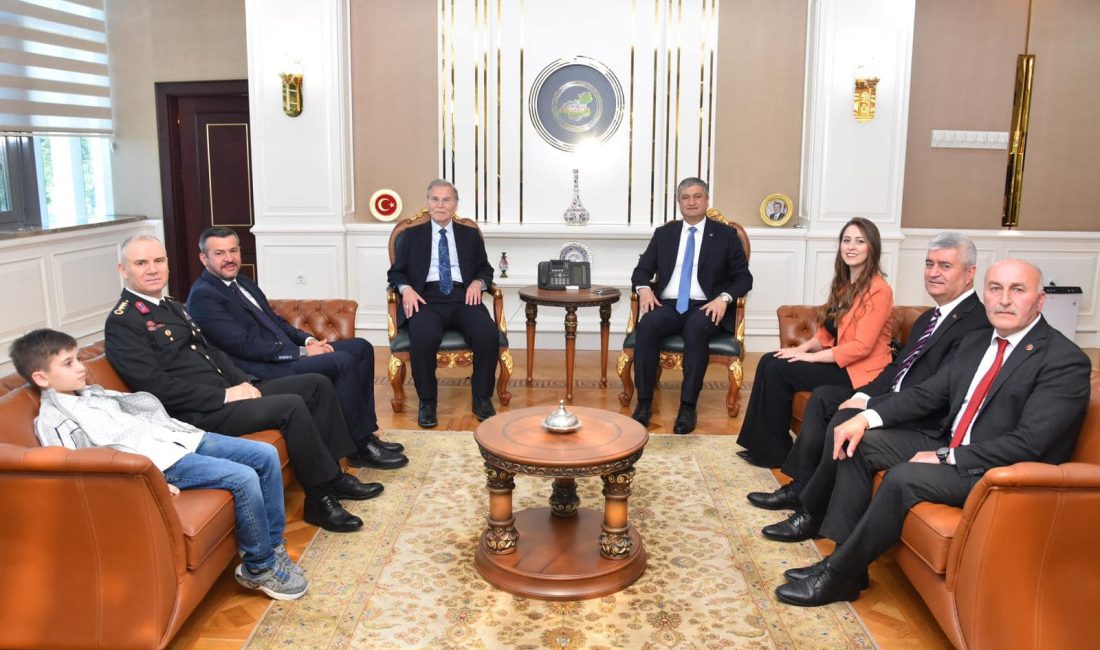 Cumhurbaşkanlığı Yüksek İstişare Kurulu Üyesi Mehmet Ali Şahin, Karabük Valisi