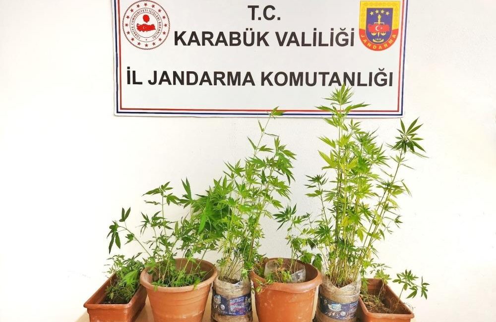 Ormanlık alanda kenevir eken şahıs tutuklandı Karabük’ün Safranbolu ilçesinde ormanlık araziye kenevir eken şahıs çıkarıldığı mahkemece