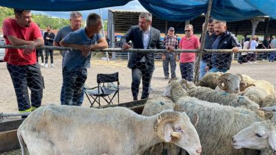 Karabük Belediye Başkanı Özkan Çetinkaya, kurban satoş alanını inceledi. 