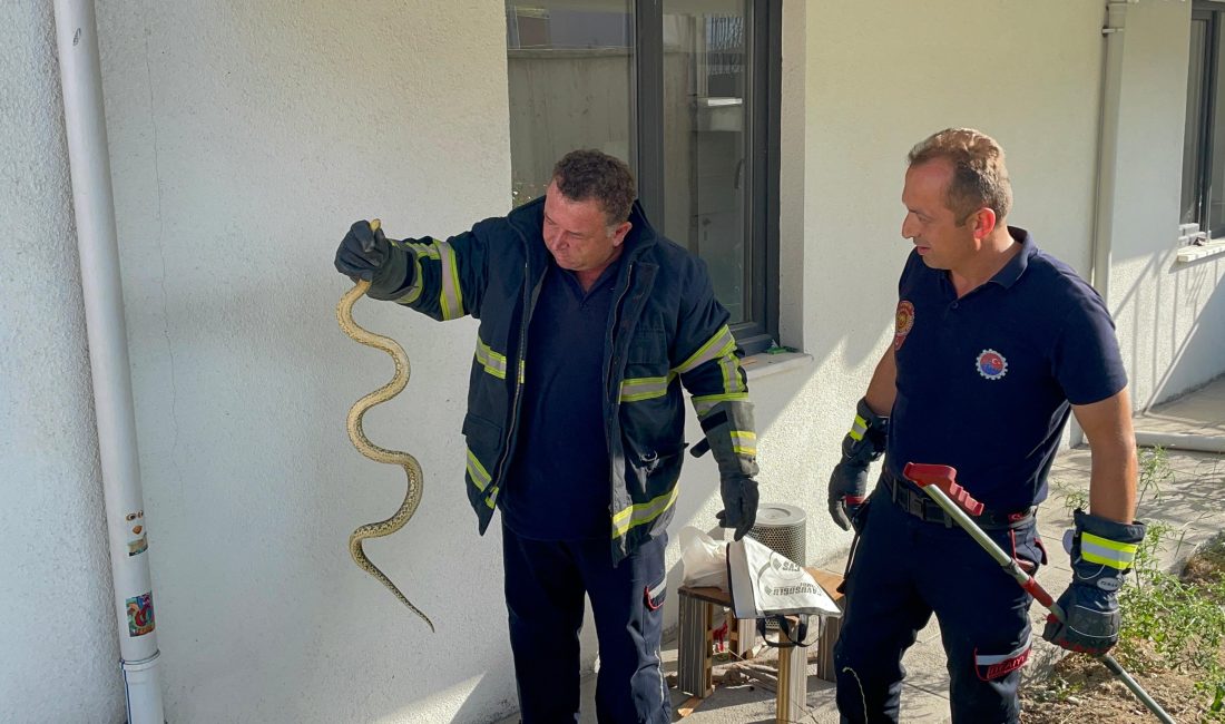 Karabük’te bir apartman bahçesine giren yılan itfaiye ekipleri tarafından yakalanıp