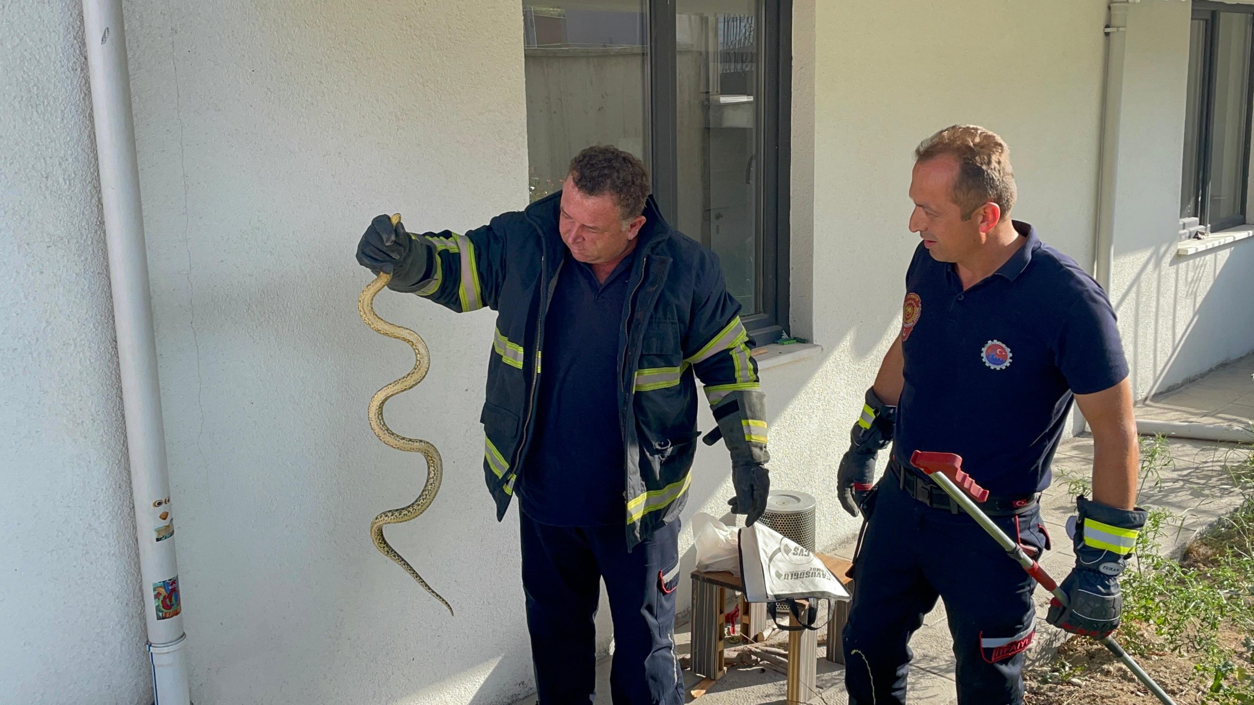 Karabük’te bir apartman bahçesine giren yılan itfaiye ekipleri tarafından yakalanıp