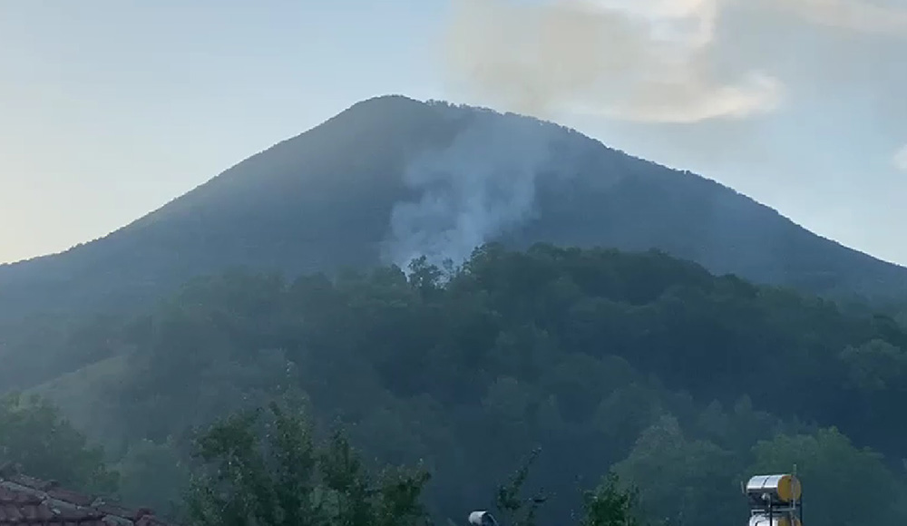 Karabük’ün Yenice ilçesinde ormanlık alandan yükselen dumanları korkuttu.
