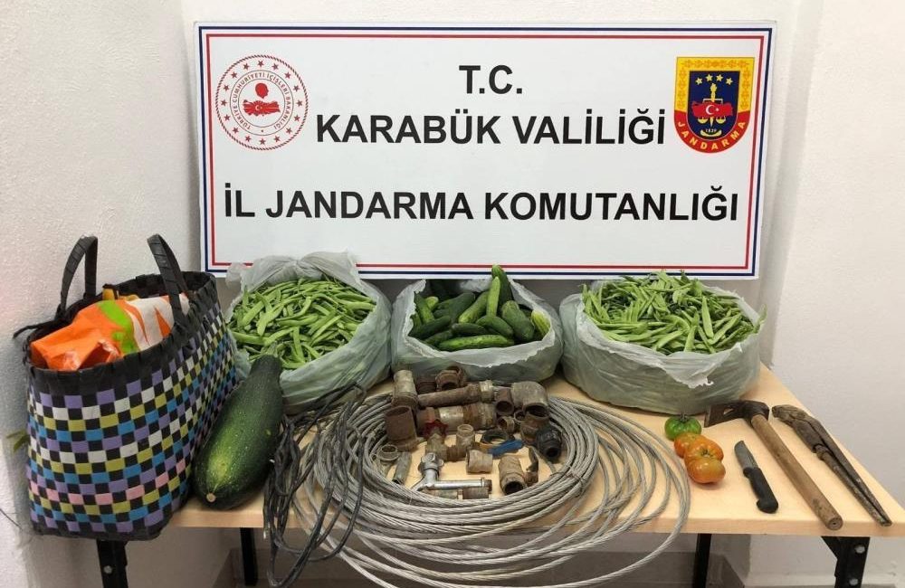 Karabük’ün Safranbolu ilçesinde bir evin bahçesine hırsızlık amaçlı giren 2