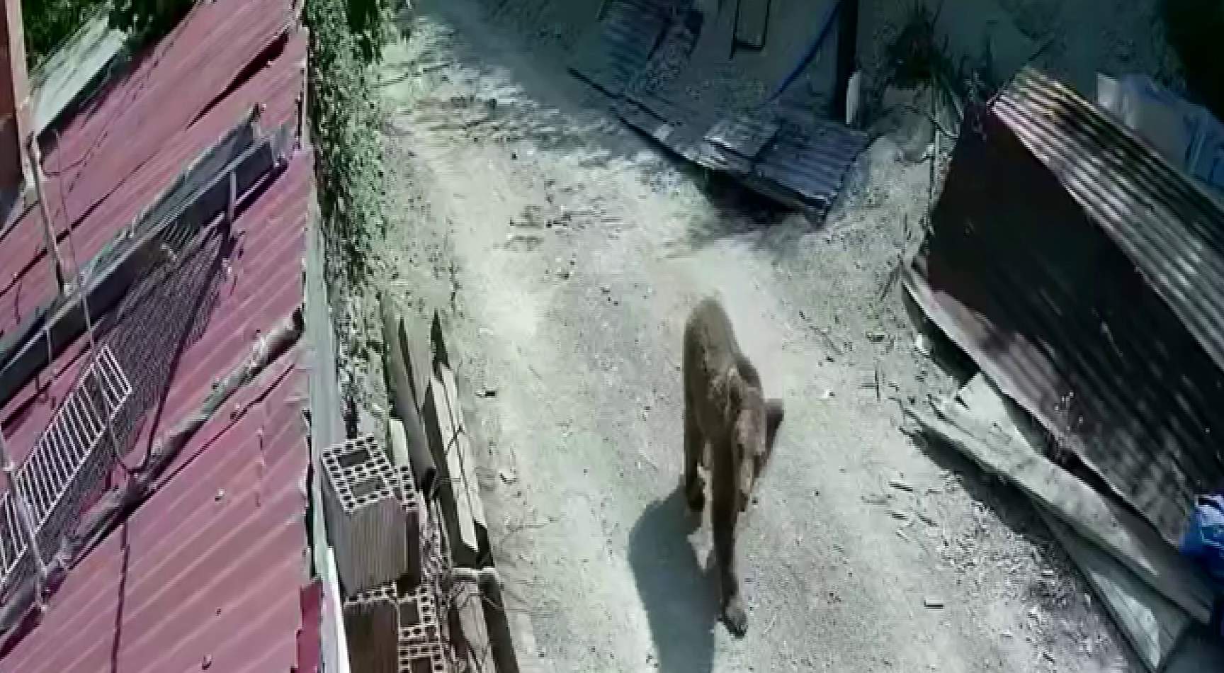 Karabük’te son günlerde şehrin farklı noktalarında cep telefonu ve güvenlik