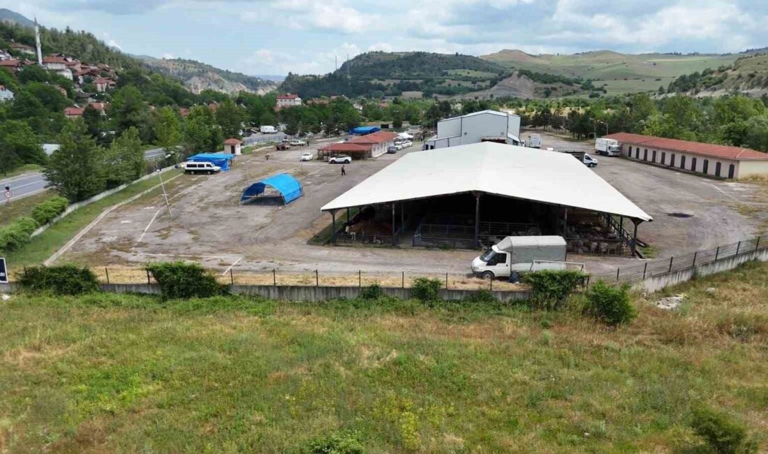 KARABÜK BELEDİYESİ, YAKLAŞAN KURBAN BAYRAMI ÖNCESİNDE KURBAN SATIŞLARININ YALNIZCA BELİRLENEN