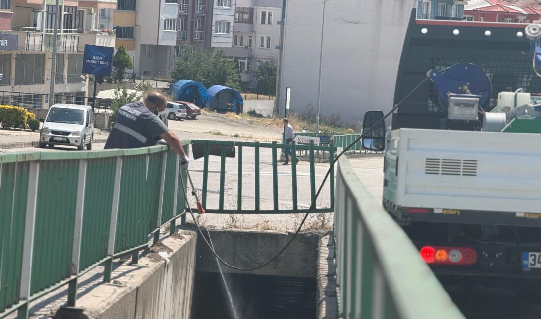 Karabük Belediyesi, yaz aylarında artış gösteren sinek ve haşere sorununa