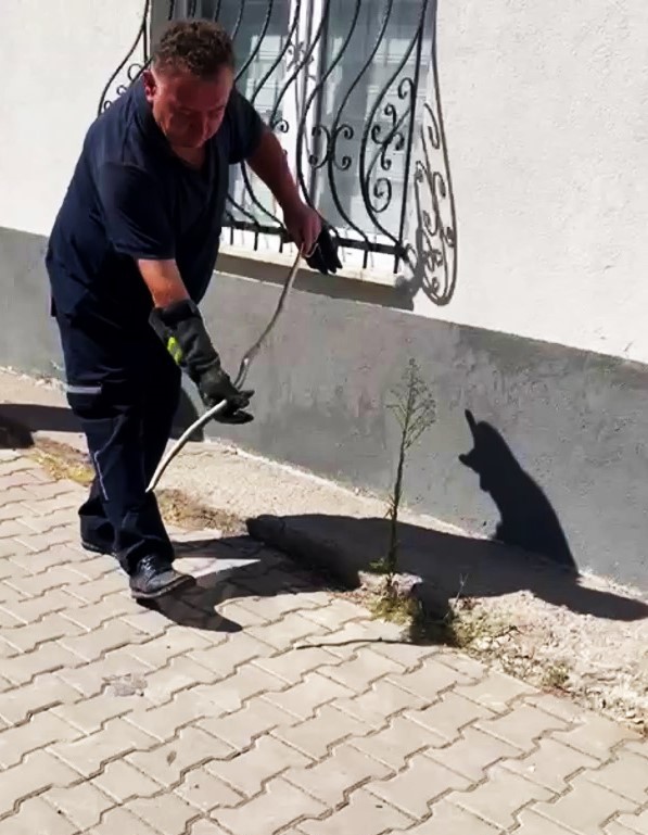 KARABÜK'TE DOĞALGAZ KUTUSUNA GİREN YILAN, İTFAİYE TARAFINDAN YAKALANDI