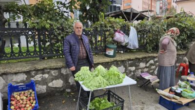 Karabük’ün Çerçiler Mahallesi’nde bir marul çadırına giren yavru ayı, iki