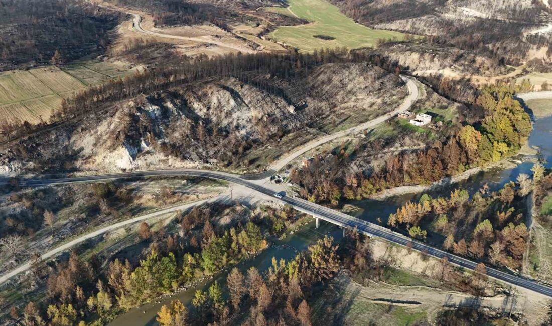 KARABÜK'TE YAZ AYLARINDA ÇIKAN ORMAN YANGINLARINDA ZARAR GÖREN AĞAÇLARLA, SONBAHARIN