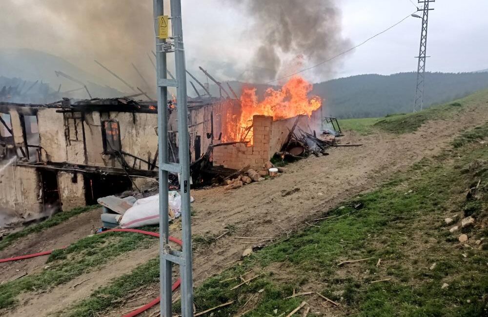 Karabük merkeze bağlı Kahyalar köyünde
