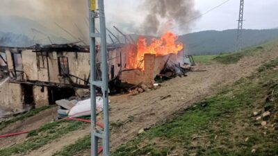 Karabük merkeze bağlı Kahyalar köyünde alevlere teslim olan 2 katlı